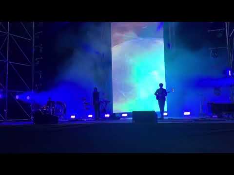 Видео: Дельфин - дверь (Москва, зеленый театр, 9 июня 2024)