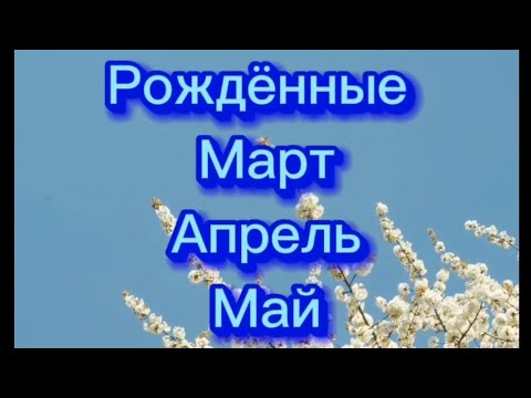 Видео: Задача рождённых, март , апрель, май