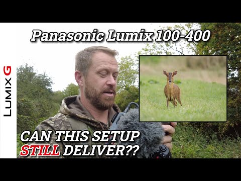 Видео: Panasonic Lumix G9ii и 100-400 Deer Photography в Западном Норфолке