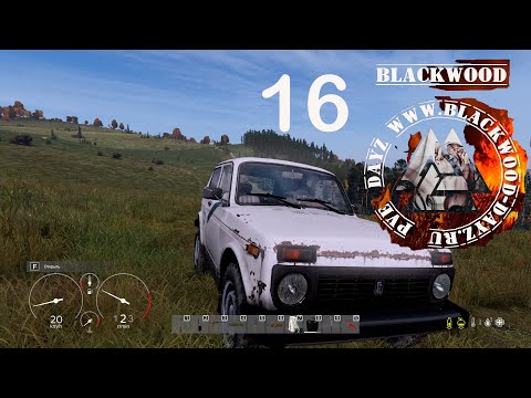 Видео: Домашнее задание # 16 Dayz PVE (первый сезон)