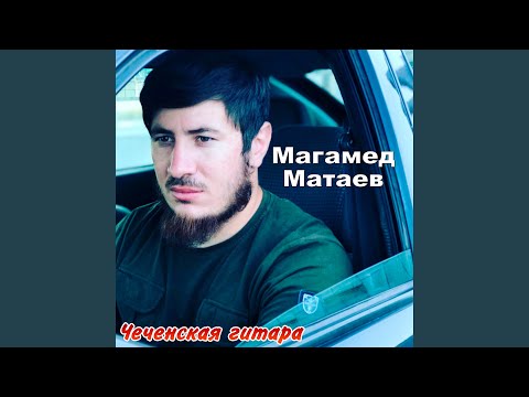 Видео: Зверь