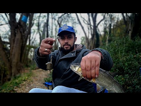 Видео: РАЗБИХМЕ КЕФАЛИТЕ ! РИБОЛОВ на КОШНИЦА с БЯЛ ЧЕРВЕЙ на РЕКАТА!