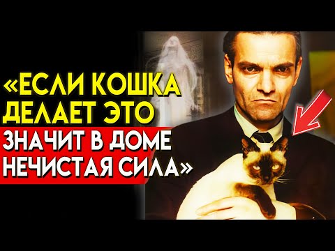Видео: ВНИМАТЕЛЬНО СЛЕДИТЕ ЗА ЭТИМИ ПРИЗНАКАМИ... Как Кошка Подсказывает Нам о Негативной Энергии
