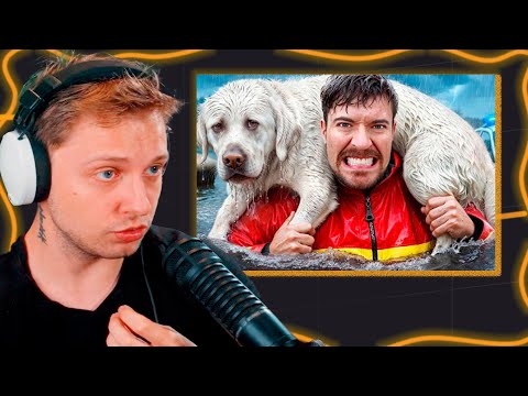 Видео: Стинт смотрит MrBeast Я Спас 1000 Животных от Гибели
