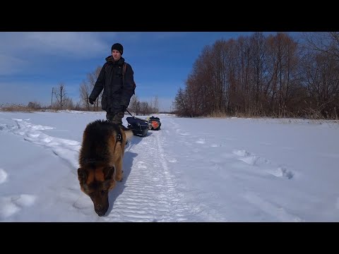 Видео: На Зимнюю Рыбалку! Ждали рыбу, а пришел ерш!