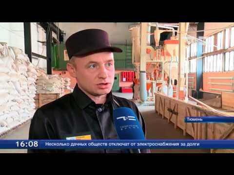Видео: В тюменской ИК-2 начали производство круп