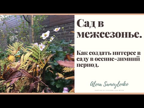 Видео: Сад в межсезонье. Как создать интерес в саду в осенне-зимний период.