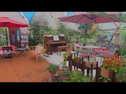 Видео: Южная Корея, кофейня @cafeflowerdome