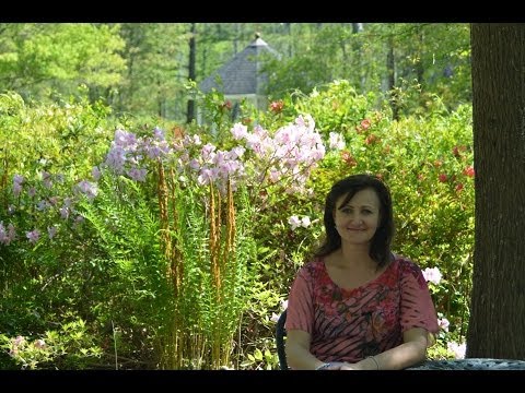 Видео: Отношения себя исчерпали