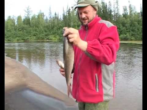 Видео: ЗЕМЛЯ МАНГАЗЕЙСКАЯ 4 часть