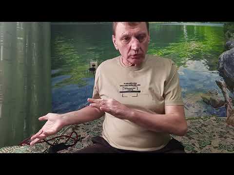 Видео: 4 ноября 2025 г.