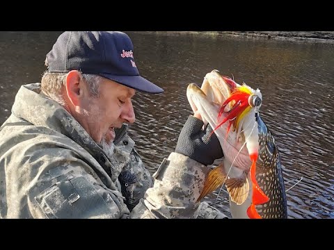 Видео: Горная река. Поиски трофейной щуки!