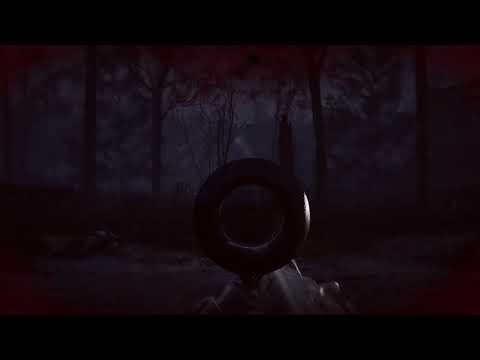 Видео: S.T.A.L.K.E.R. 2. Белый Шум-концовка.