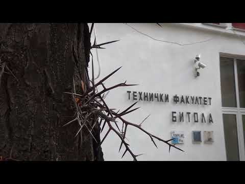 Видео: Технички факултет - Битола