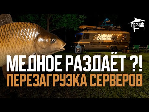 Видео: Проверяем фарм на Медном после перезагрузки серверов ● Русская рыбалка 4 ● Перчик РР4