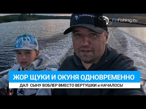 Видео: Жор окуня и щуки - показываем места. Как меня пацан обловил. ZipBaits b-switcher/Pontoon GreedyGuts