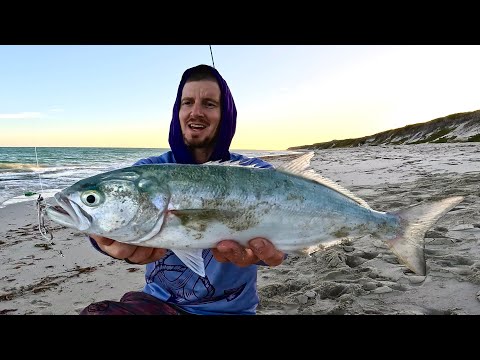 Видео: Рыбалка на пляже Западной Австралии для агрессивных портных