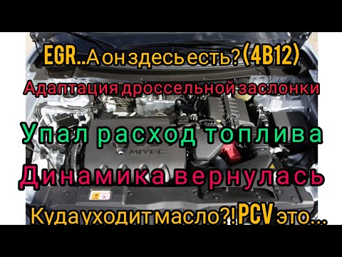 Видео: Адаптация, клапан PCV, куда уходит масло