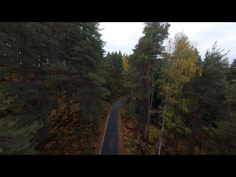 Видео: Есен в района на село Пашинци   19.10.2025 година