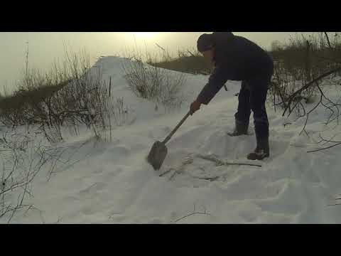 Видео: Проверка капканов на бобра зимой. Hunting beaver traps.