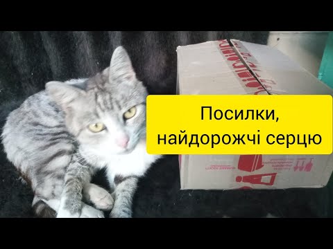 Видео: 2 розпаковки: рослини із власних садочків