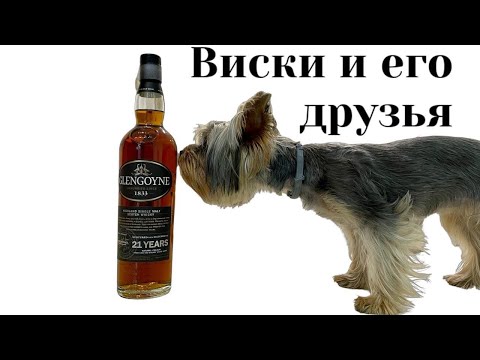 Видео: Дегустация виски Glengoyne 21
