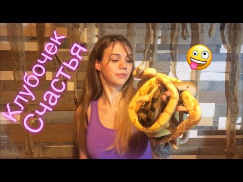 Видео: Малыши змей. Зачем имена рептилиям?