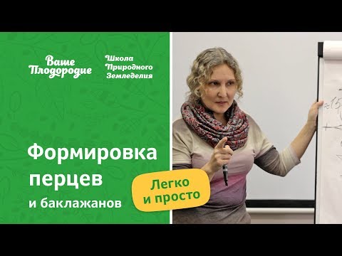 Видео: Формировка перцев и баклажанов — легко и просто