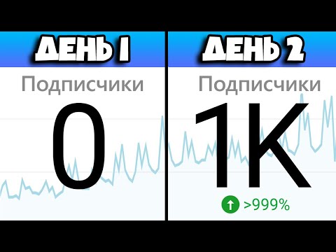 Видео: Как набрать 1000 подписчиков ЗА МЕСЯЦ - ДОКАЗАНО!