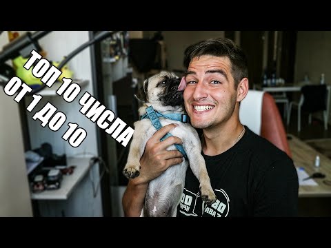 Видео: ОЩЕ ЕДИН ДЕН С ГРИШО!