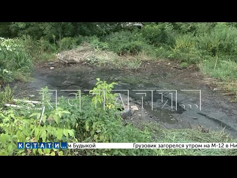 Видео: Заявление главы Балахны,что его администрация спасительный остров в океане де**ма, воплощено в жизнь