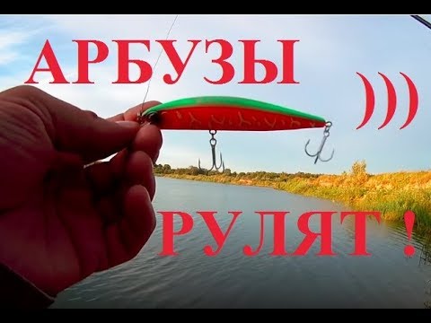 Видео: Арбузный Realis от BearKing разловлен за 40 минут ! Шутил-шутил, а кнопка "Турбо-Клёв" сработала.))