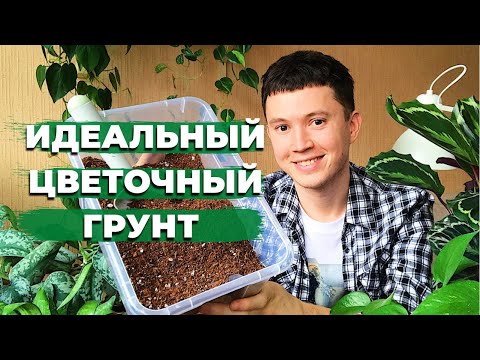 Видео: Мой Идеальный Грунт для Комнатных Растений » Рецепт Универсального Грунта