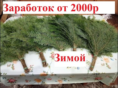 Видео: Как зарабатывать еще???? Пожалуйста.