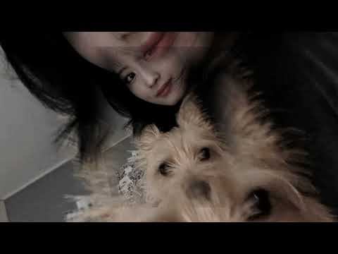 Видео: ранетки — она одна (speed up) (ﾉ◕ヮ◕)ﾉ*.✧