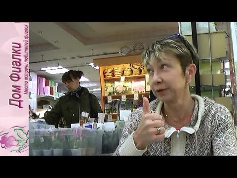 Видео: ДФ.Селекционер глоксиний Наталья Гришина.2018г.