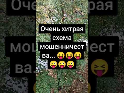 Видео: #мошенникивсети #приколы #юмор #рекомендации #ржака #смех 