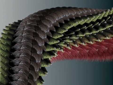 Видео: "Крама" - Слуцкая брама (1994)