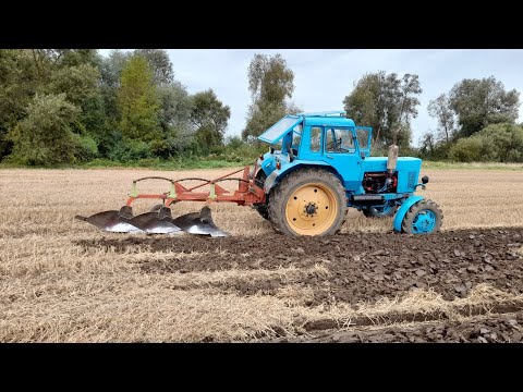 Видео: Пахота с плугом Kvernelad трактор МТз-82