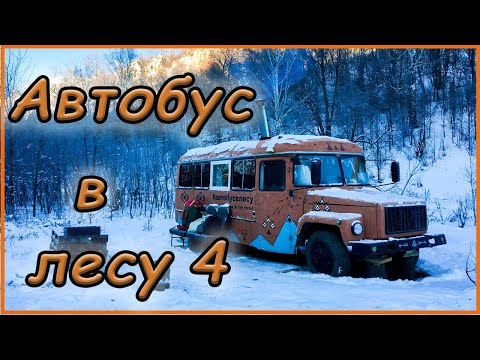 Видео: Сутки в проекте "Автобус в лесу"