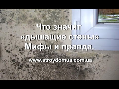 Видео: Что значит «дышащие стены» Мифы и правда.
