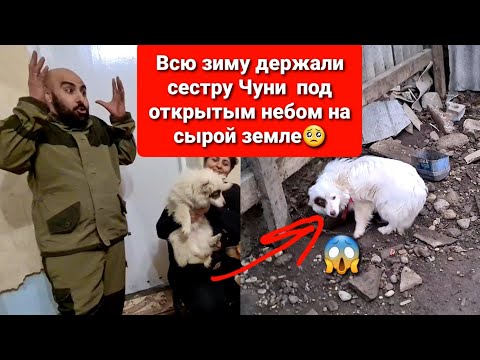Видео: ЦЕНА ЖИЗНИ В 5 ТЫСЯЧ РУБЛЕЙ.