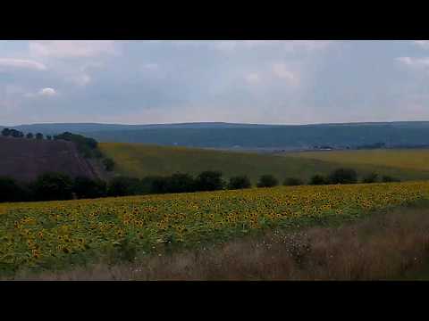 Видео: Чимишлия - Михайловка. Поля. Велопоход по Молдове 2018 #15