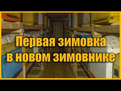 Видео: Первая зимовка в новом зимовнике