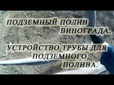 Видео: 🍇 Подземный полив винограда. Устройство трубы для подземного полива.