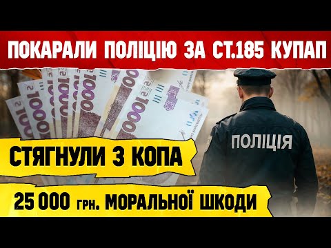 Видео: ПОЛІЦІЯ сфабрикувала “злісну непокору” СВАВІЛЛЯ ПОКАРАНО !