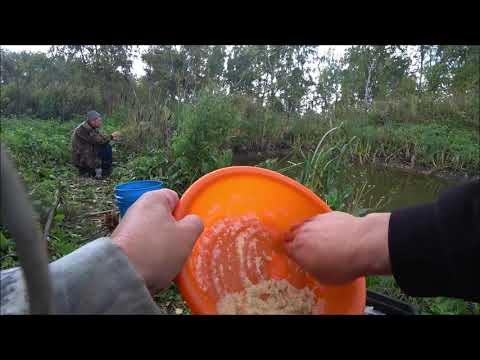 Видео: ХЕРАБУНА КАРП НА КАРАСЁВУЮ ОСНАСТКУ carp  fishing