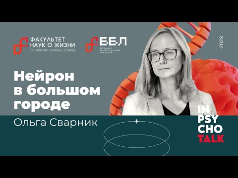 Видео: Ольга Сварник - Нейрон в большом городе