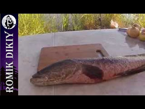 Видео: Хе из змееголова. Рецепт.