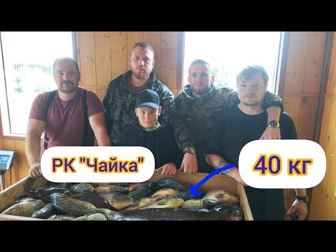 Видео: Рыбалка на платнике| Поймали 40 кг карпов| РК Чайка |